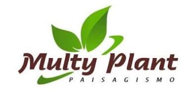 MULTY PLANTE